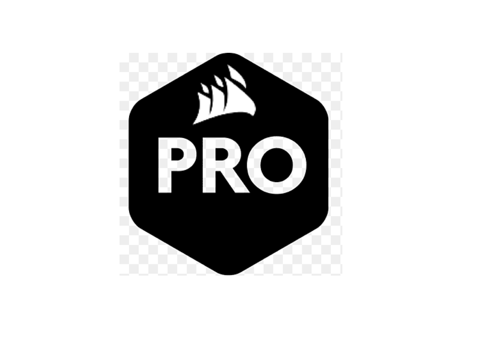 Corsair PRO Systems Support