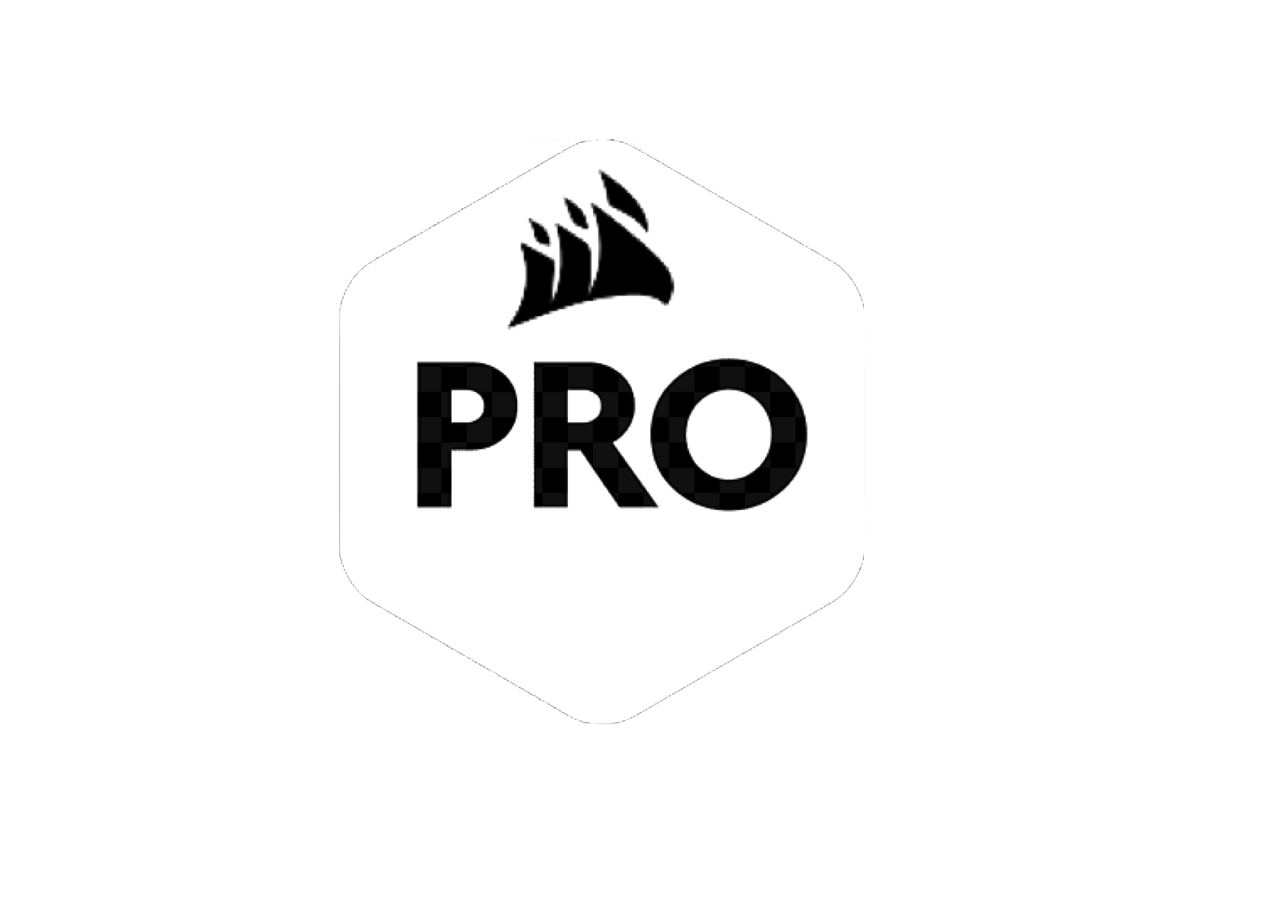 Corsair PRO Systems Support